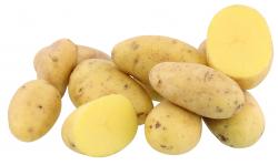 Kartoffeln Marabell vorwiegend festkochend